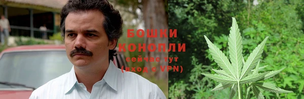 трава Алексин