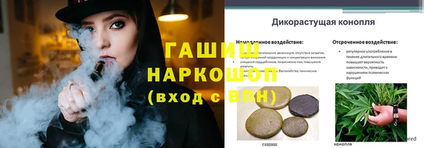 a pvp Абаза