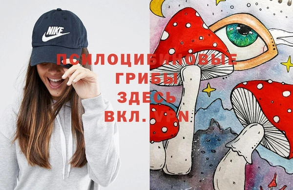 spice Абдулино