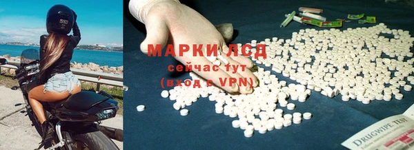 эйфоретик Алзамай