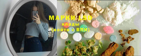 эйфоретик Алзамай