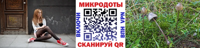 Галлюциногенные грибы прущие грибы  Октябрьский 